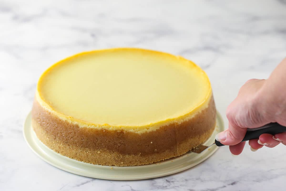 Cheesecake Pan: How Is It Different From a Springform Pan?