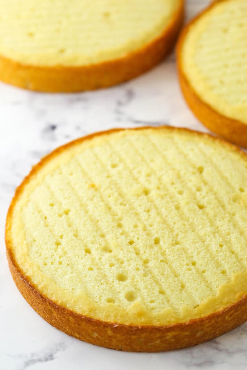 The Best Vanilla Sponge Cake Recipe | Genoise - The Cooking Foodie