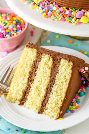 Easy Yellow Cake with Chocolate Frosting Recipe | Better Than Cake Mix!