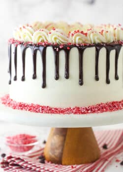 Chocolate peppermint layer cake on a cake stand.