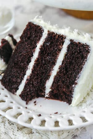 Coconut Chocolate Cake | Life, Love and Sugar