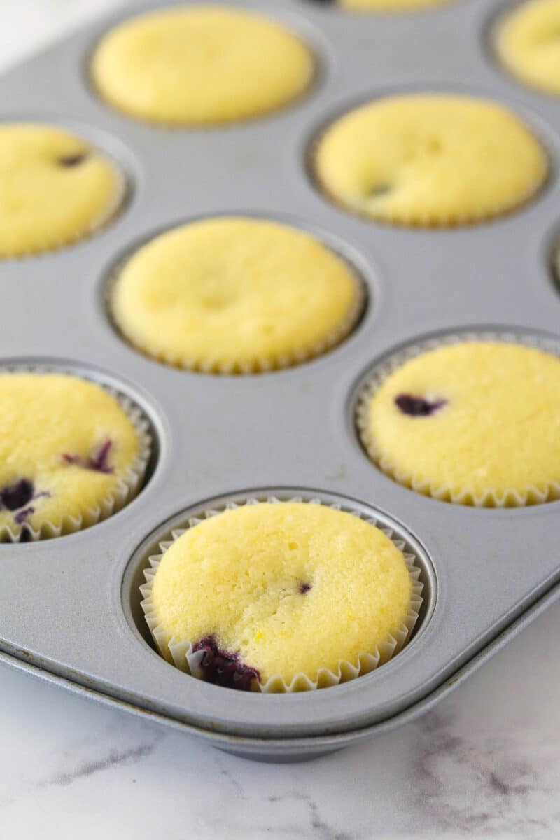 Lemon blueberry cupcakes in a cupcake pan.