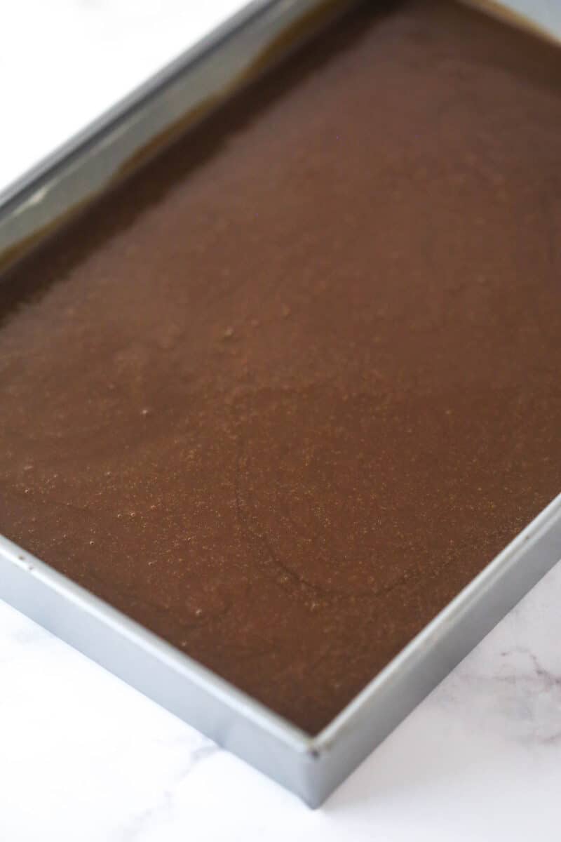 Chocolate cake batter in a baking pan.
