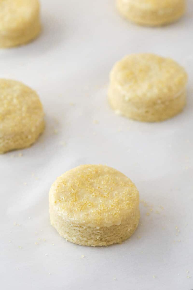Unbaked shortcake biscuits sprinkled with sugar on a sheet of parchment paper.