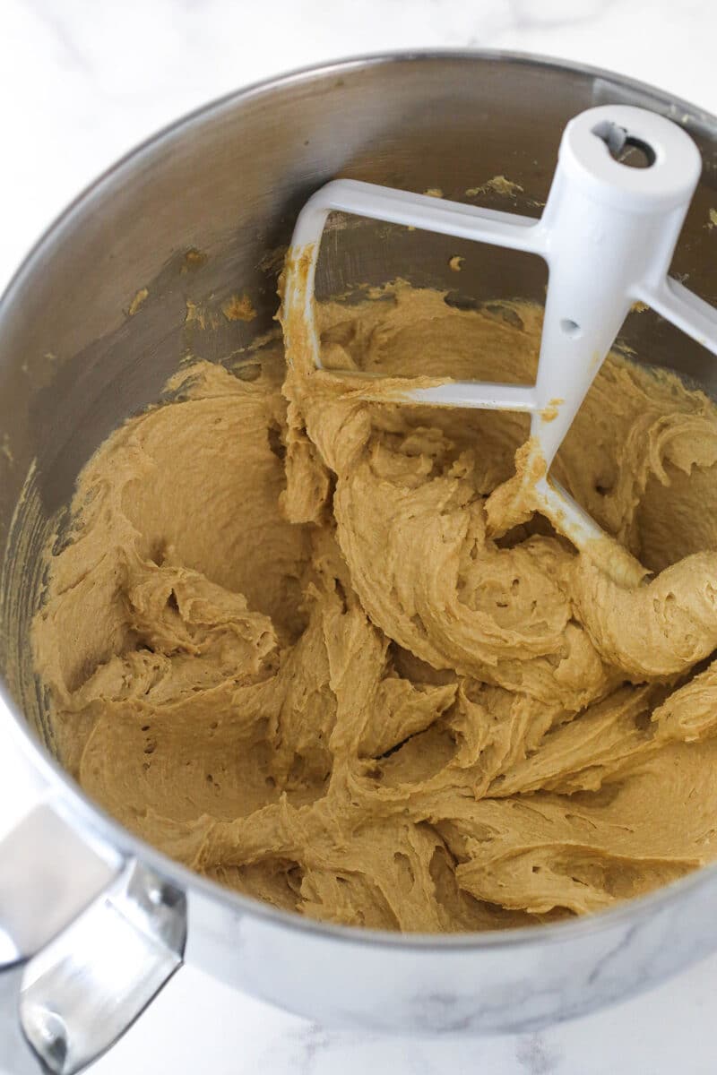Mixing egg and vanilla into peanut butter cookie cake dough.