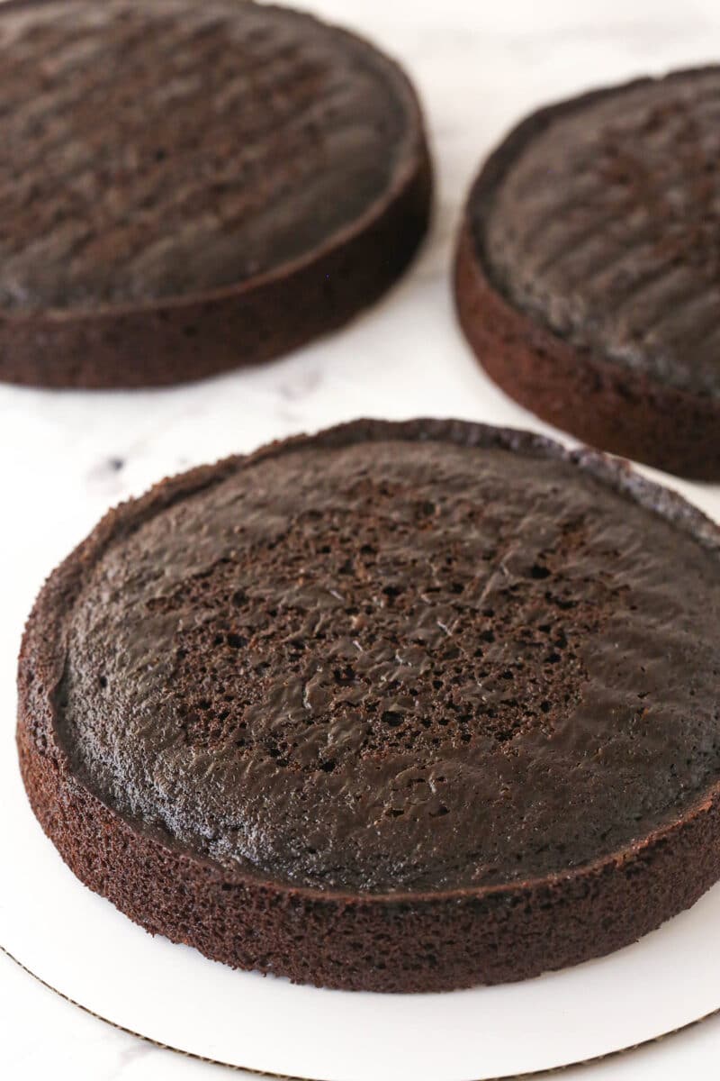 3 layers of chocolate zucchini cake. One is on a cardboard cake circle.