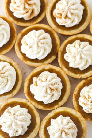 Overhead view of miniature pumpkin pies topped with whipped cream.