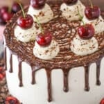 A full Black Forest Cake on a gray cake stand