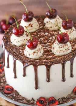 A full Black Forest Cake on a gray cake stand