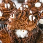 Side view of a Mississippi Mud Cupcake with a bite removed