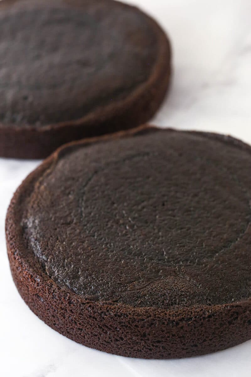 Two baked chocolate cake rounds.