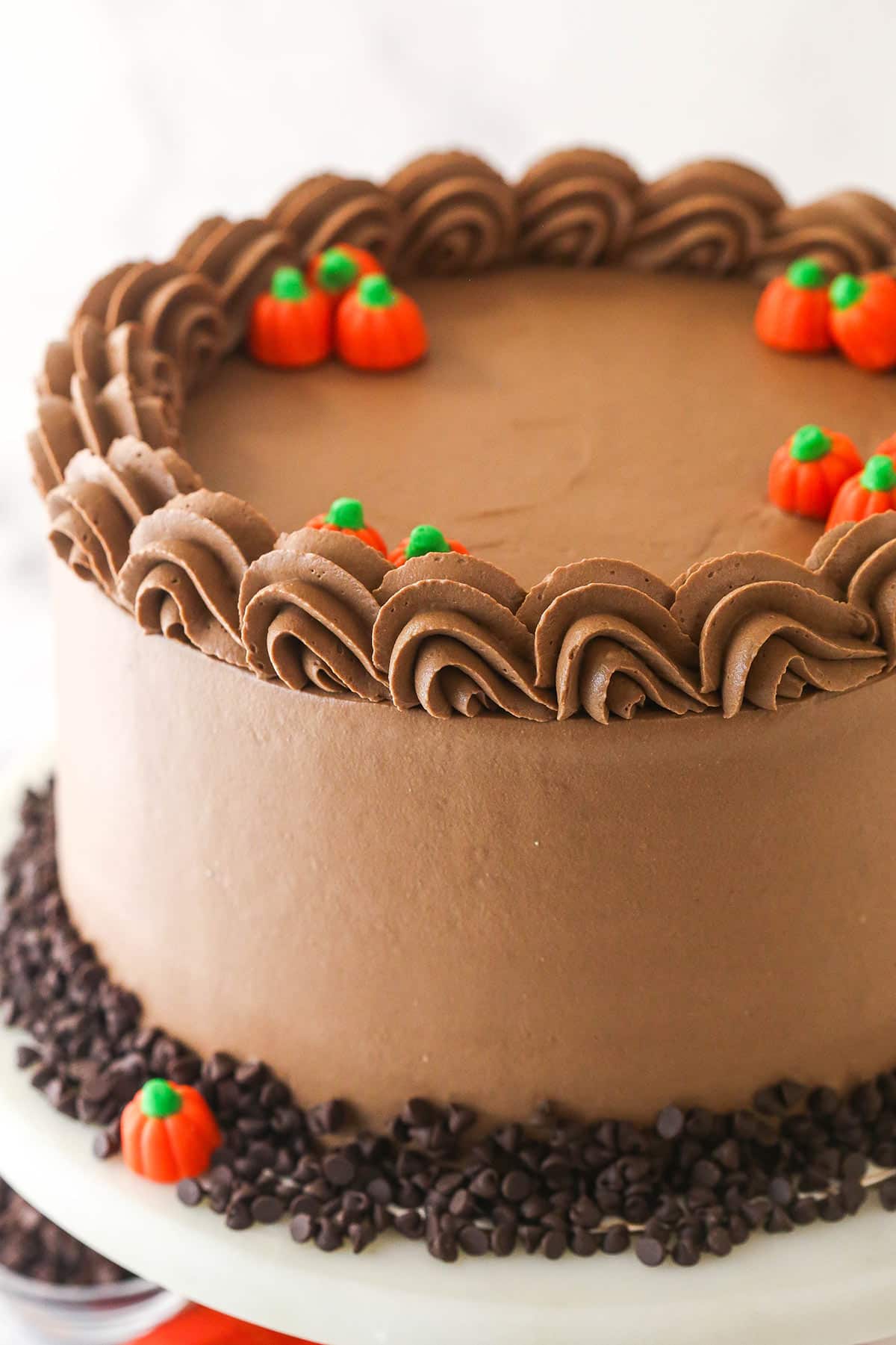 A decorated Chocolate Pumpkin Cheesecake Cake.