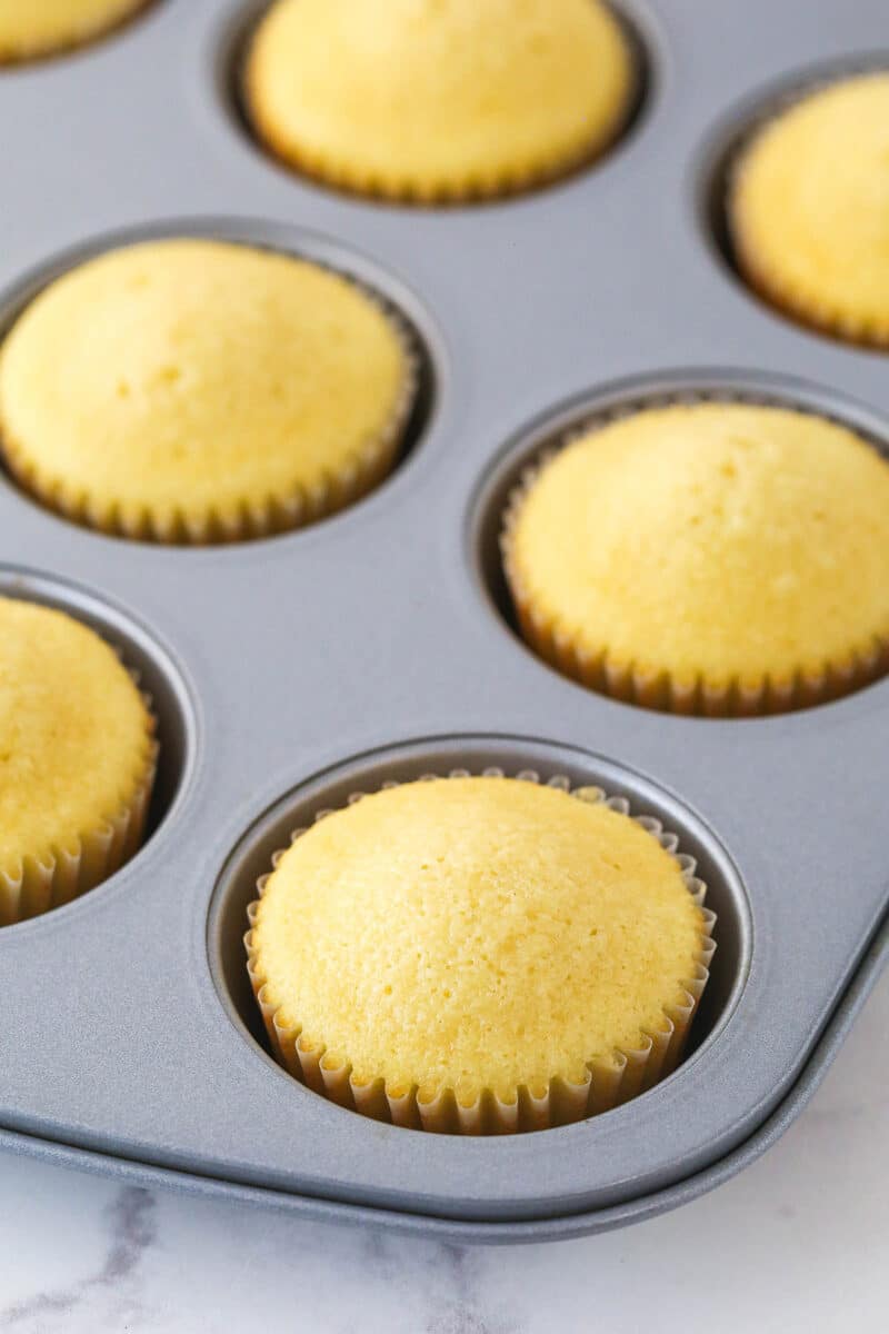 baked cupcakes in cupcake pan