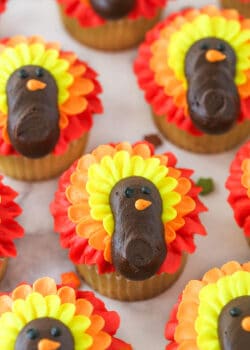 angled close up of turkey cupcakes on marble countertop