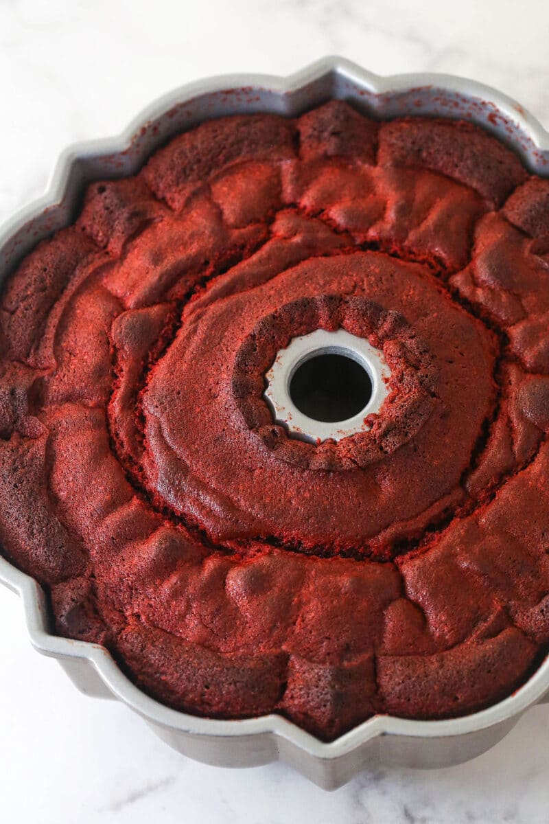 Baked red velvet cake in a bundt pan