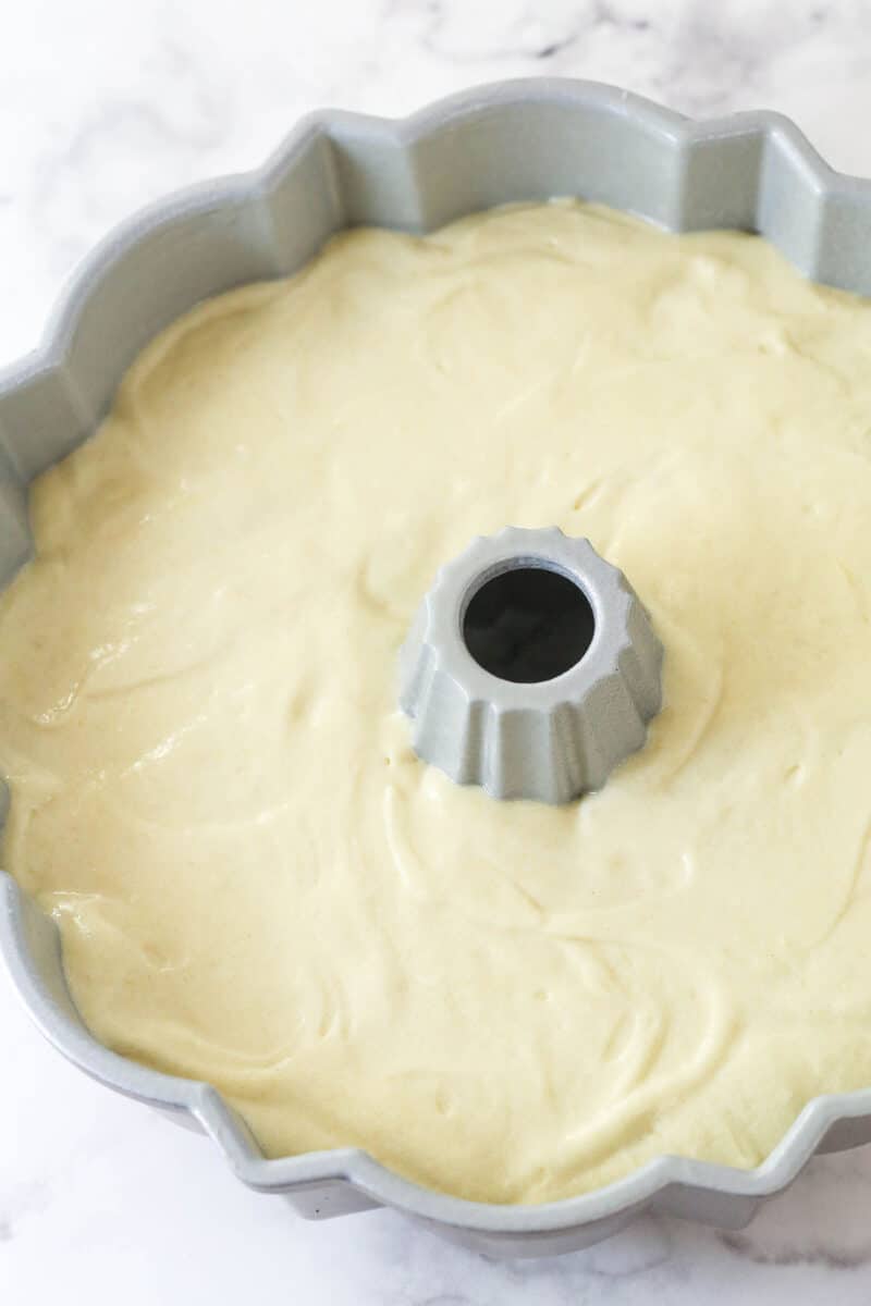 Vanilla cake batter in a bundt pan